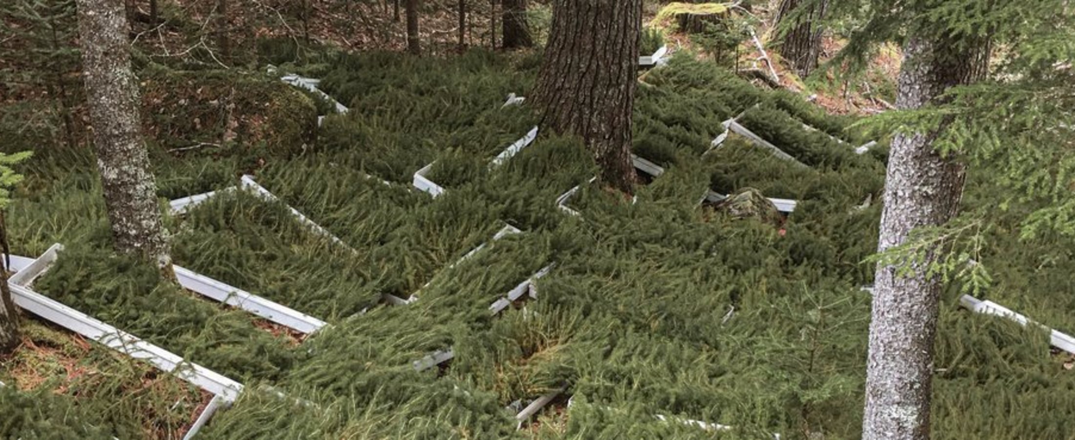 HUFA Green Wald